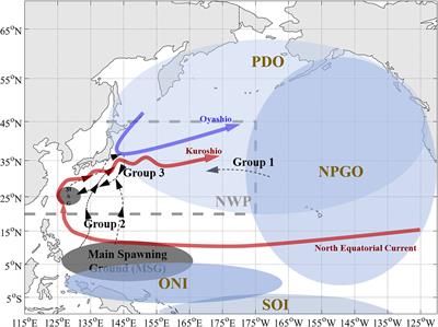 The Effects of Trans-Basin Climate Variability on Skipjack Tuna in the Northwest Pacific Ocean: Causal and Nonstationary